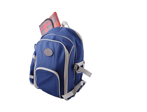 4-Person Picnic Backpack and Blanket